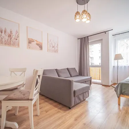 Dworska Apartment *