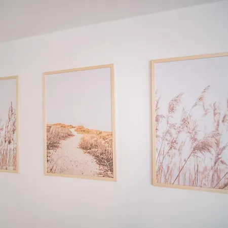 Dworska Apartment *